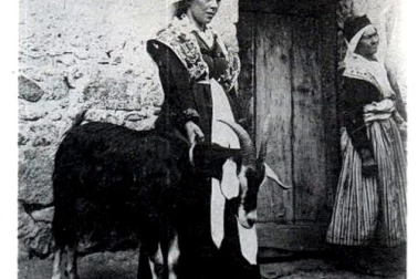 Gardeuses de Chevres Bethmalaises