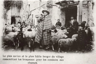 Le plus ancien et le plus fidele berger du village rassemblait leurs troupeaux pour les conduire