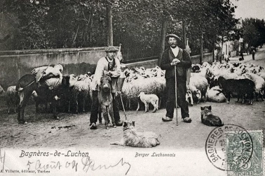 Des bergers Luchonnais
