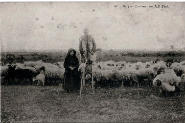 Berger Landais