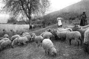 Bergeres gardant leurs moutons