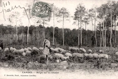Landes Berger-sur-ses-echasses
