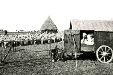 Berger de moutons dans sa cabane