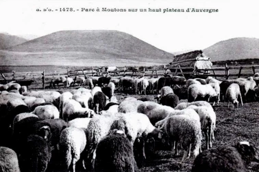 Parc a moutons sur un haut plateau d Auvergne