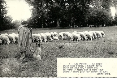 Au Poitou le berger