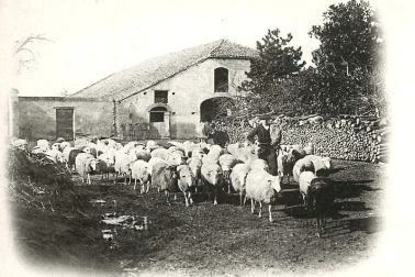 Pays-basque Une-ferme-berger-et-moutons-vers-1900