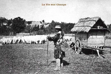 La vie au champ le berger avec sa roulotte