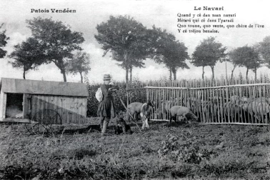 Patois Vendeen Le navari