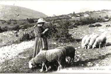 Bergere avec ses moutons en montagne