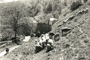 La bergere derriere le village