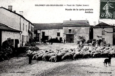 Berger moutons place de l eglise
