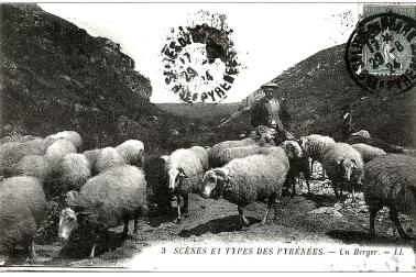 Scenes est types des Pyrenees un berger