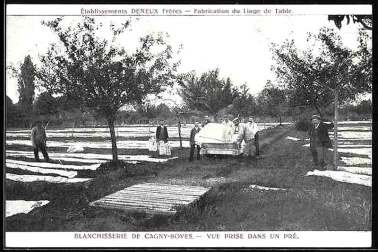 Etablissements Deneux-Freres - Blanchisserie - Vue prise dans un pre