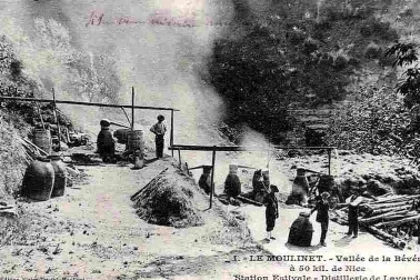 Le Moulinet - Distillerie de Lavande