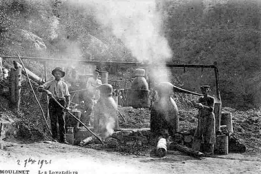 La distillation de la lavande a Moulinet