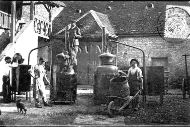 Distillation - Bouilleur de cru