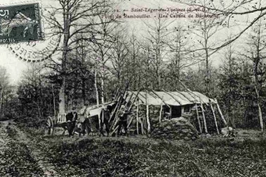 Bucherons au travail en Foret  de Rambouillet