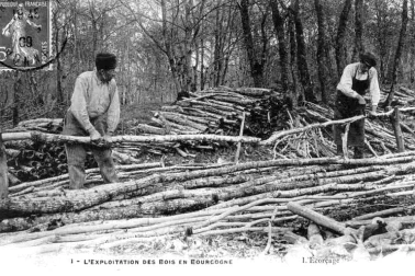 L  exploitation des bois en Bourgogne