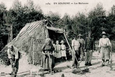 Bucherons en Sologne
