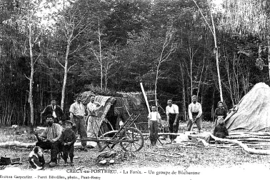 Bucheronsen Foret de Crecy en Ponthieu