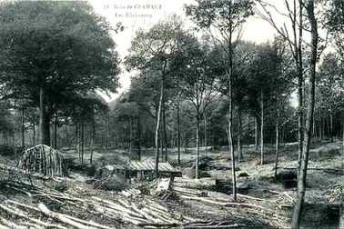 HAUTS DE SEINE CLAMART - Les bucherons