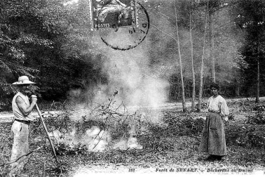 Foret de Senart