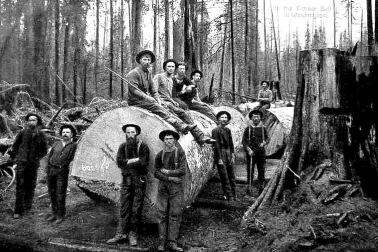 Les bucherons d Amerique