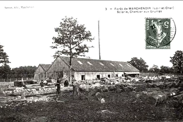 Foret de Marchenoir - La scierie chantier aux grumes
