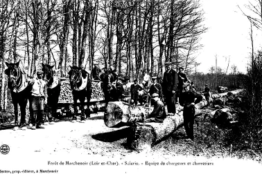 Foret de Marchenoir equipe de chargeurs et de charretiers a la scierie