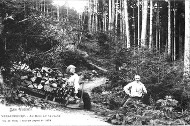 Vexaincourt - Au Bois du Sauvage