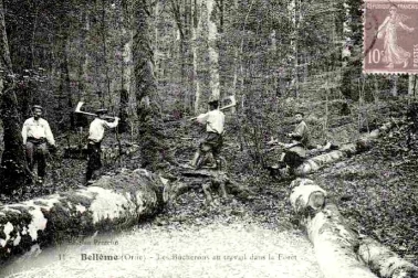 Bucherons au travail en Foret de Belleme
