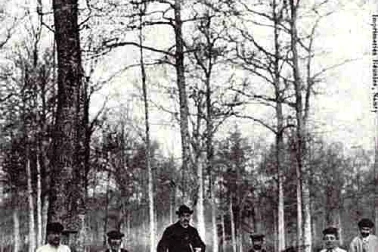 Bucherons en foret a Thubeuf pres de L Aigle