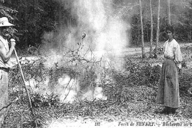 Bucherons au travail dans la Foret de Senart