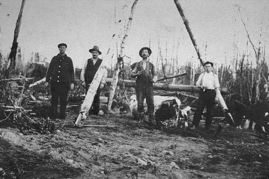 Un groupe de bucherons