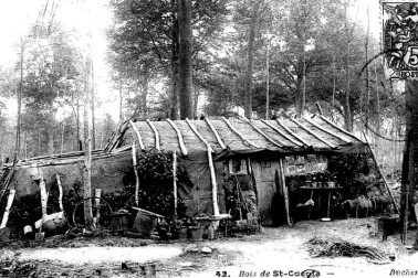 Cabane de bucherons bois de cacufa