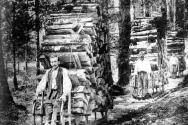 Transport du bois dans les forets vosgiennes ou schlitte