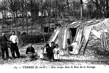 Une coupe dans le Bois de la Grange a Yerres