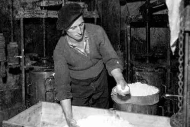 Cantal petit metier la maie a fromage dans les burons