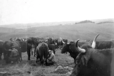 Dans les annees 60 dans le Cantal quelque part au buron
