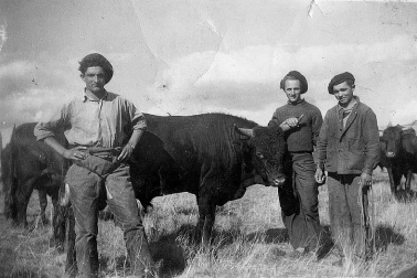 Les buronnires fabrication du fromage dans le Cantal en 1927