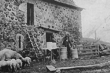 La vis a la montagne dans les burons