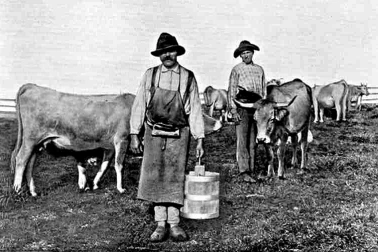 Une equipe de buronniers