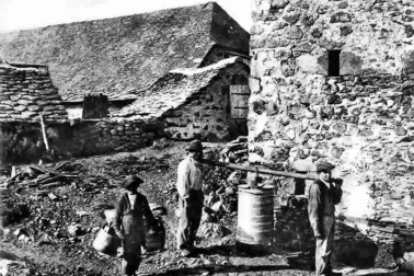 Cantal vacherie TRANSPORT DU LAIT