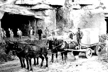 Entree de carriere et attelage de chevaux