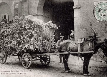 Chiffonniers