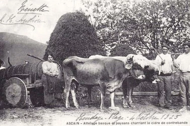 Attelage basque et paysan charriant le cidre de contrebande